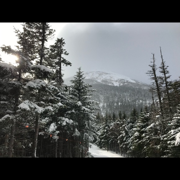 Meet your Posher, Kathryn - Picture 6 of 6